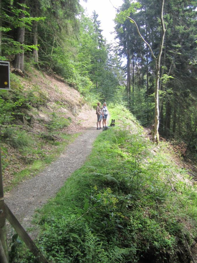 Schneekaeppchen 2 Villa Winterberg Buitenkant foto